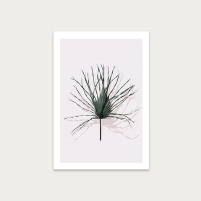 Bombinate.com Solo No. 2 Art Print Unframed