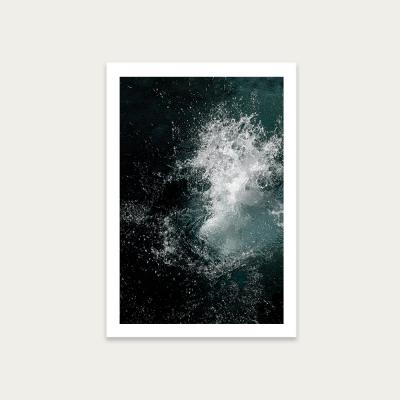Bombinate.com Jump in the Water Art Print Unframed