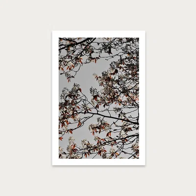 Bombinate.com Grafic Spring And Flower Mood Art Print Unframed