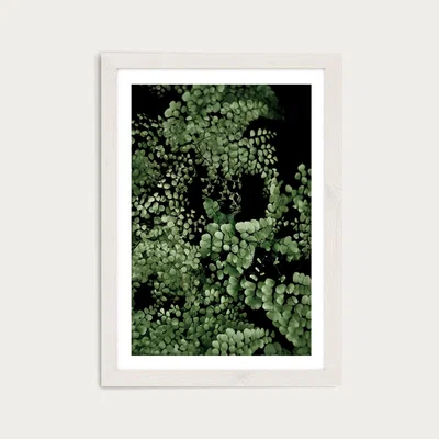 Bombinate.com Tropical Garden 2I5 Art Print White Frame