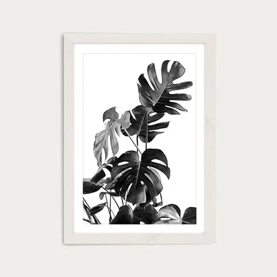 Bombinate.com Monstera Black and White 9 Art Print White Frame