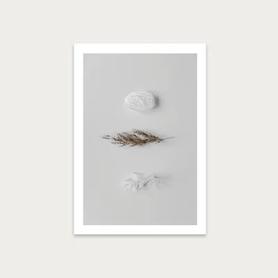Bombinate.com Stones & Branches II Art Print Unframed