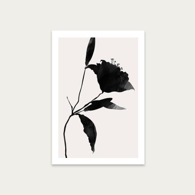 Bombinate.com Nero 2 Art Print Unframed