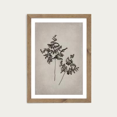 Bombinate.com Art Forms in Nature 1 Art Print Oak Frame