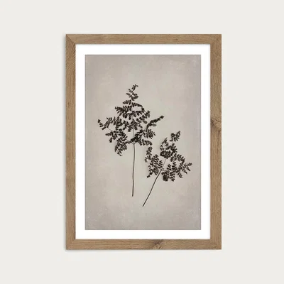 Bombinate.com Art Forms in Nature 1 Art Print Oak Frame