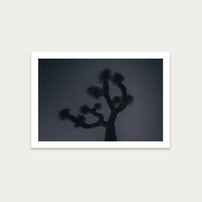 Bombinate.com Joshua Art Print Unframed