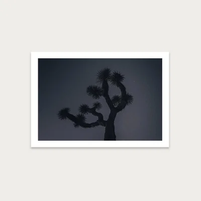 Bombinate.com Joshua Art Print Unframed