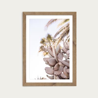 Bombinate.com Cacti Art Print Oak Frame