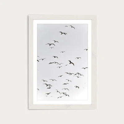 Bombinate.com Fly High Art Print White Frame