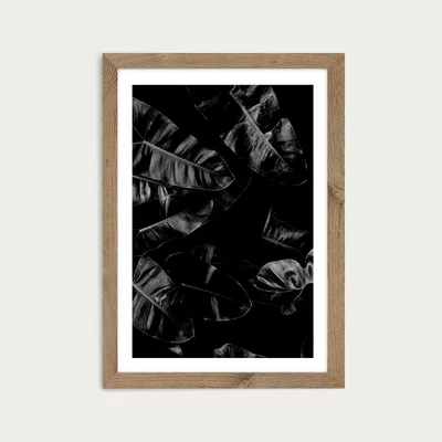 Bombinate.com X-Ray No.29 Art Print Oak Frame