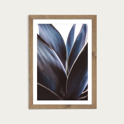 Bombinate.com Blue Agave Art Print Oak Frame