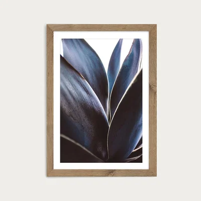 Bombinate.com Blue Agave Art Print Oak Frame