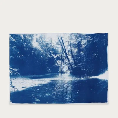 Bombinate.com Scandinavian Enchanted Forest Handmade Cyanotype Art Print