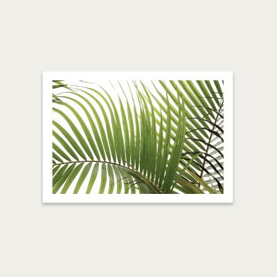 Bombinate.com Palm Leaves 2 Art Print Unframed
