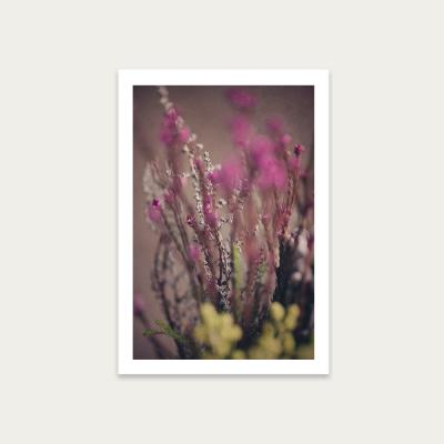 Bombinate.com Warm Fynbos 5 Art Print Unframed