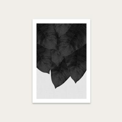 Bombinate.com Banana Leaf Black & White Art Print Unframed