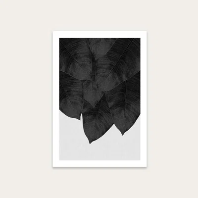 Bombinate.com Banana Leaf Black & White Art Print Unframed