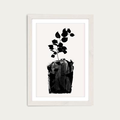 Bombinate.com Scabiosa Art Print White Frame