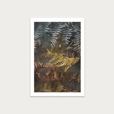 Bombinate.com Earthy Ferns 1 Art Print Unframed
