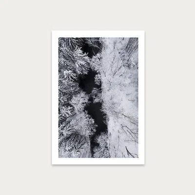 Bombinate.com Black River Through the Snowy Winter Forest Art Print Unframed