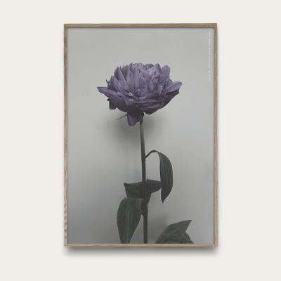 Bombinate.com Paeonia Officinalis