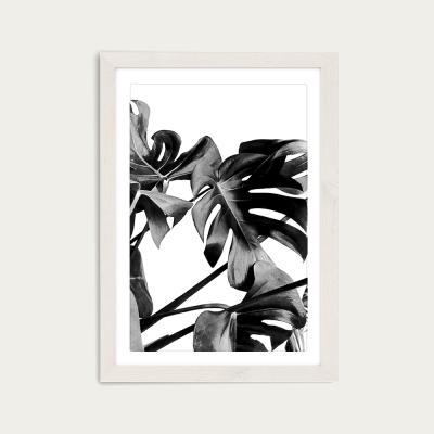 Bombinate.com Monstera Black and White 6 Art Print White Frame