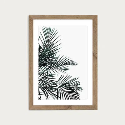 Bombinate.com Minimal Palm Leaf Art Print Oak Frame