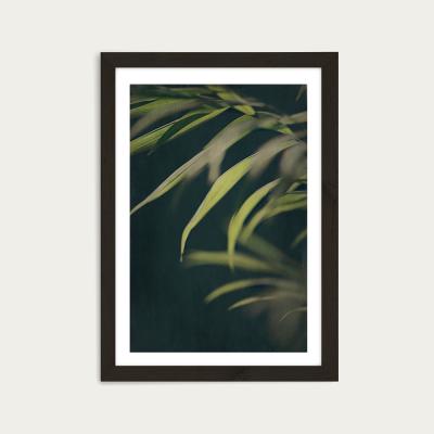 Bombinate.com Dark Foliage 2 Art Print Black Frame