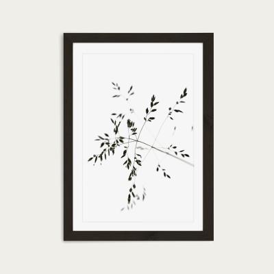 Bombinate.com A Delicate Moment Art Print Black Frame
