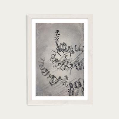 Bombinate.com Shadowplay 2 Art Print White Frame