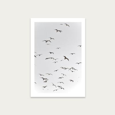 Bombinate.com Fly High Art Print Unframed