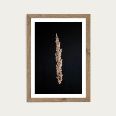 Bombinate.com Minimal Pampas Gras on Black Art Print Oak Frame