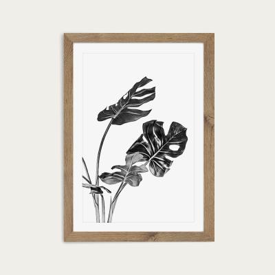 Bombinate.com Monstera Black and White 2 Art Print Oak Frame