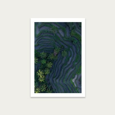 Bombinate.com Rice Fields from Above Art Print Unframed