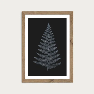 Bombinate.com Botanica Minimalistica Art Print Oak Frame