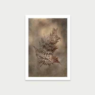 Bombinate.com Earthy Ferns 3 Art Print Unframed