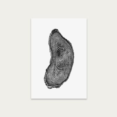 Bombinate.com Pine Set II Art Print Unframed