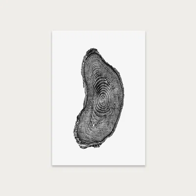 Bombinate.com Pine Set II Art Print Unframed