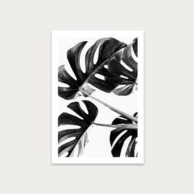 Bombinate.com Monstera Black and White 5 Art Print Unframed