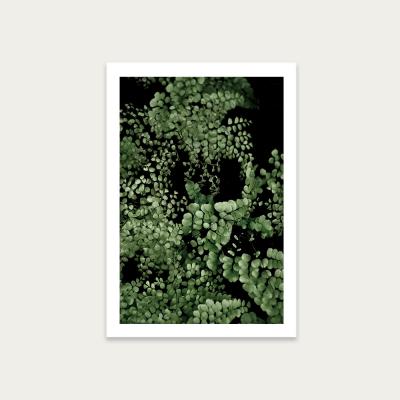 Bombinate.com Tropical Garden 2I5 Art Print Unframed