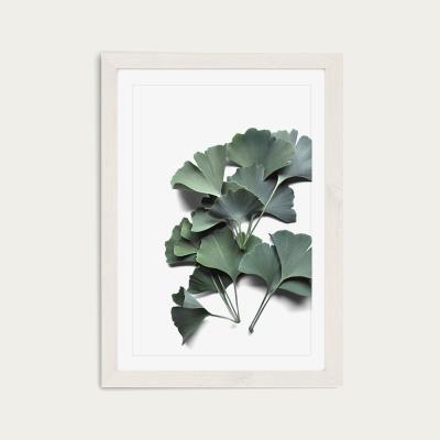Bombinate.com Ginkgo Biloba Art Print White Frame