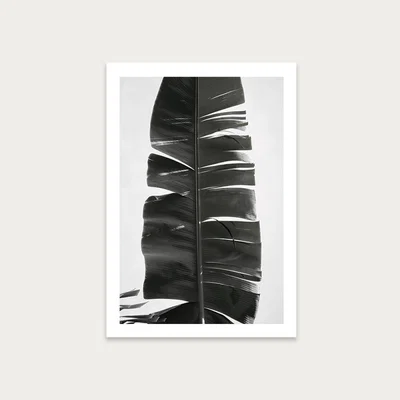 Bombinate.com Tropical Jungle Vibes Art Print Unframed