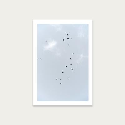 Bombinate.com Birds Flying South Art Print Unframed