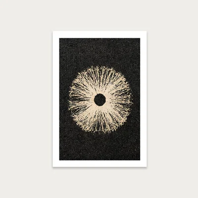 Bombinate.com Iris Black Art Print Unframed