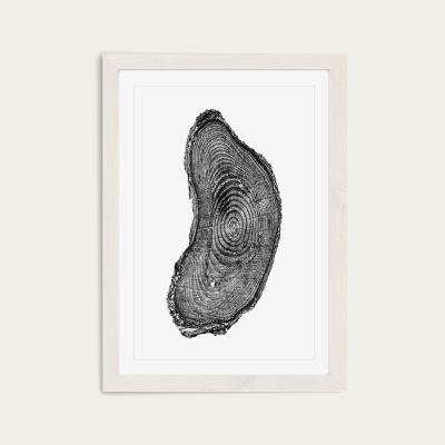 Bombinate.com Pine Set II Art Print White Frame