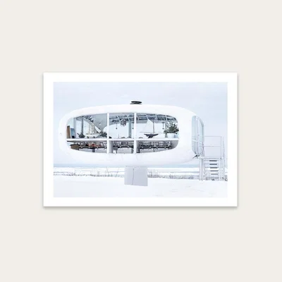 Bombinate.com Binz 01 Art Print Unframed