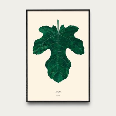 Bombinate.com Ficus Carica