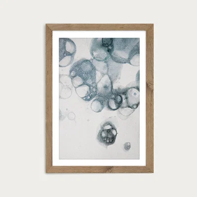 Bombinate.com Aquarelle Bubbles – Blue Art Print Oak Frame