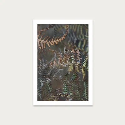 Bombinate.com Earthy Ferns 2 Art Print Unframed