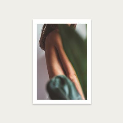 Bombinate.com Ficus Lyrata 2 Art Print Unframed